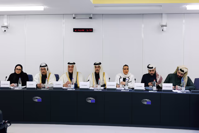 Billede 19: Delegation for relations with the Arab Peninsula (DARP) meeting