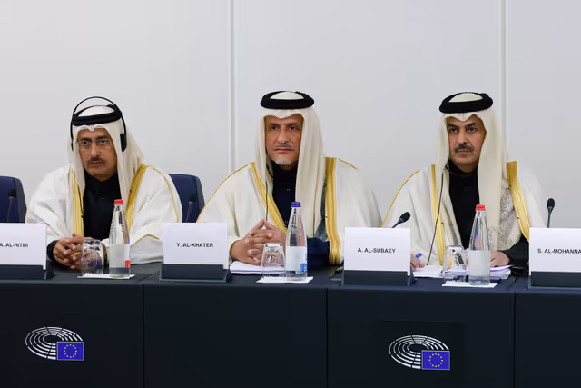 Billede 21: Delegation for relations with the Arab Peninsula (DARP) meeting