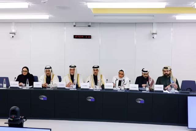 Billede 20: Delegation for relations with the Arab Peninsula (DARP) meeting