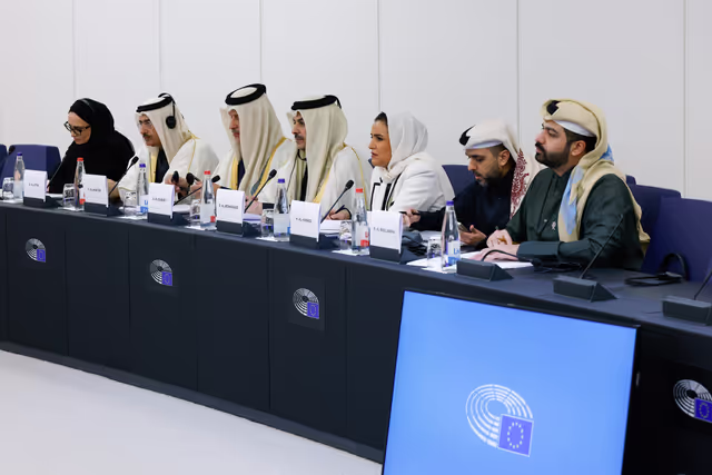 Billede 16: Delegation for relations with the Arab Peninsula (DARP) meeting