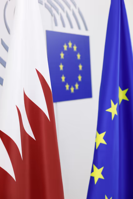 Billede 15: Delegation for relations with the Arab Peninsula (DARP) meeting