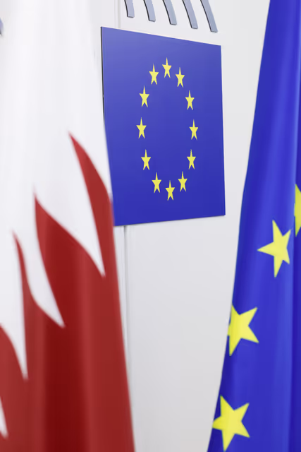 Billede 17: Delegation for relations with the Arab Peninsula (DARP) meeting