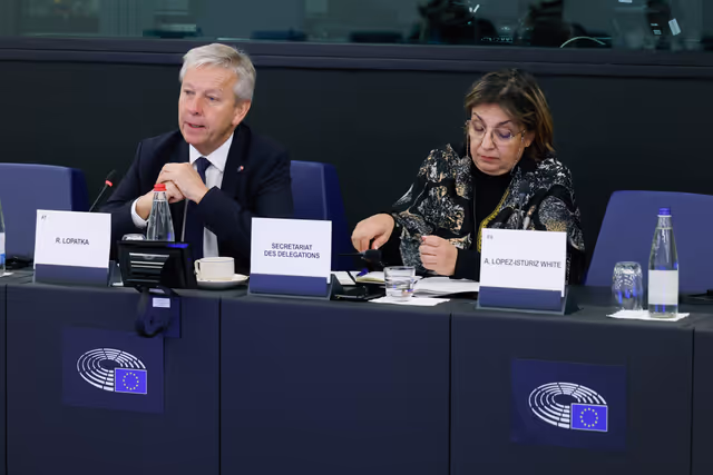 Billede 18: Delegation for relations with the Arab Peninsula (DARP) meeting