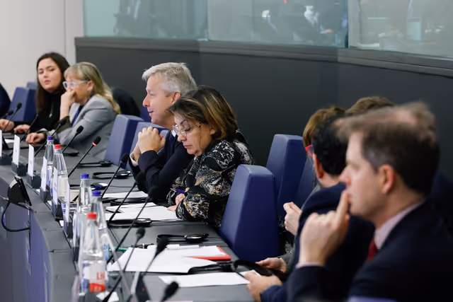 Billede 14: Delegation for relations with the Arab Peninsula (DARP) meeting