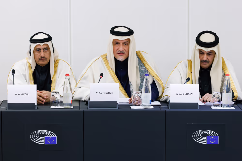 Delegation for relations with the Arab Peninsula (DARP) meeting