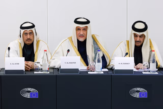 Billede 9: Delegation for relations with the Arab Peninsula (DARP) meeting