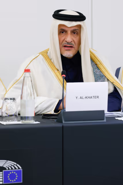 Billede 10: Delegation for relations with the Arab Peninsula (DARP) meeting