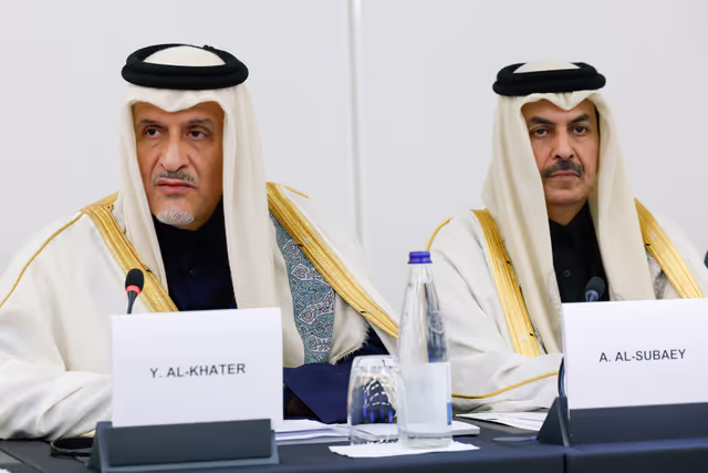 Billede 7: Delegation for relations with the Arab Peninsula (DARP) meeting