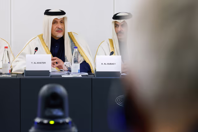 Billede 3: Delegation for relations with the Arab Peninsula (DARP) meeting