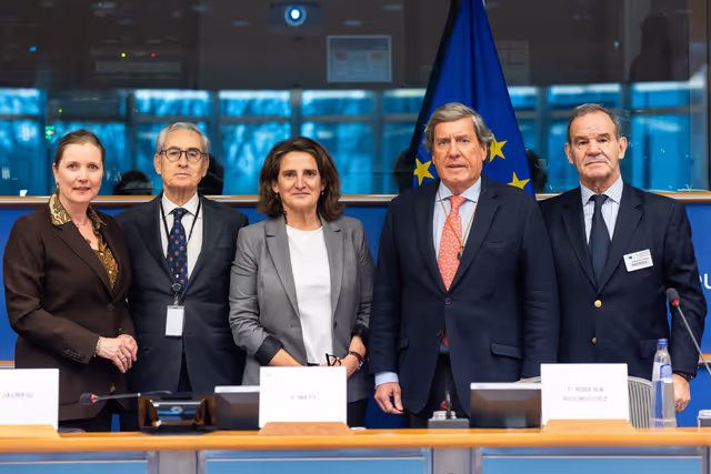 Delegation to the Euro-Latin American Parliamentary Assembly (DLAT) -  6th High-Level Seminar of the Euroamerica Foundation.