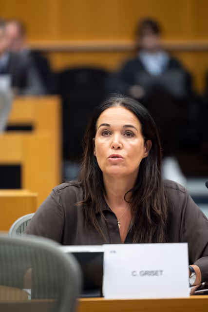 Fotografia 6: CULT - Structured dialogue with commissioner Henna Virkkunen