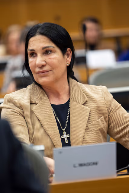 Fotografia 3: CULT - Structured dialogue with commissioner Henna Virkkunen