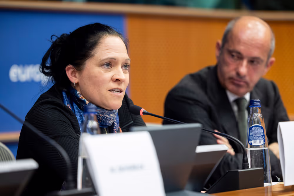 FISC - Public hearing on ' How to address the Equity-Debt Bias in Taxation? '