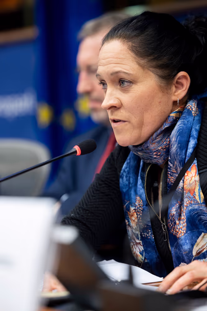 FISC - Public hearing on ' How to address the Equity-Debt Bias in Taxation? '
