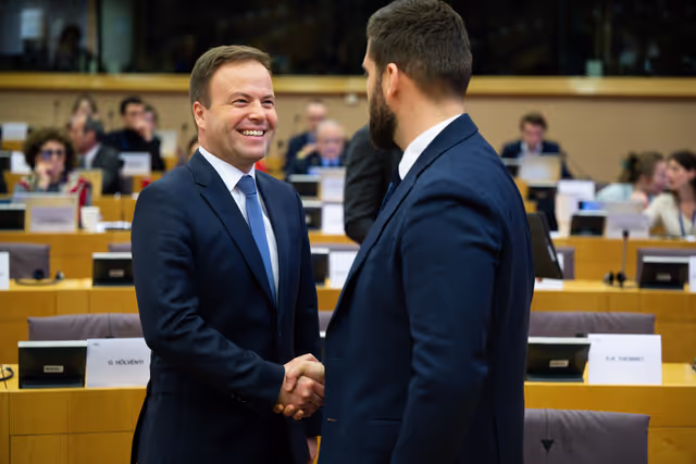 Fotagrafa 35: AFCO SEDE - Joint hearing on ‘ Institutional aspects of the Common European Defence Union ’