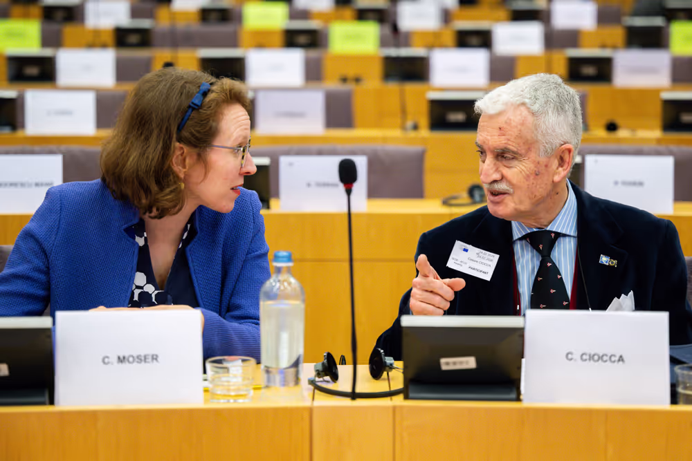AFCO SEDE - Joint hearing on ‘ Institutional aspects of the Common European Defence Union ’