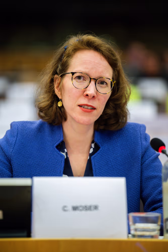 AFCO SEDE - Joint hearing on ‘ Institutional aspects of the Common European Defence Union ’