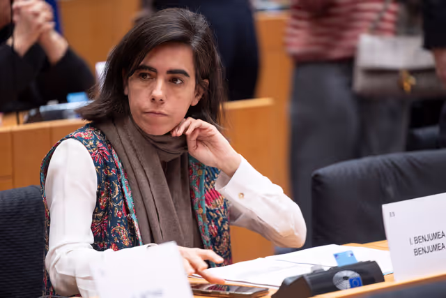 Fotagrafa 25: ECON ENVI LIBE - Voting session