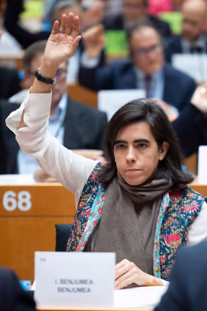 Fotagrafa 9: ECON ENVI LIBE - Voting session