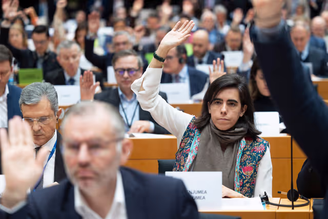 Fotagrafa 7: ECON ENVI LIBE - Voting session