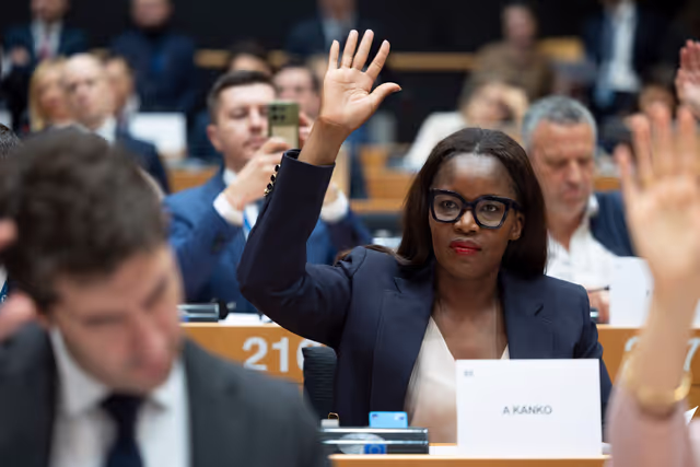 Fotagrafa 6: ECON ENVI LIBE - Voting session