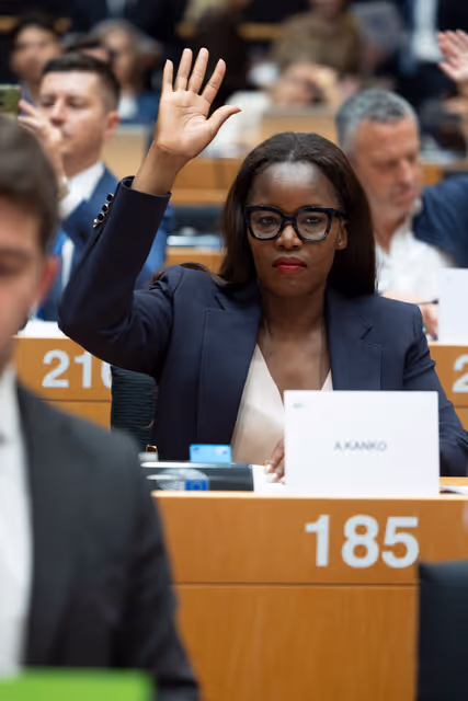 Fotagrafa 8: ECON ENVI LIBE - Voting session