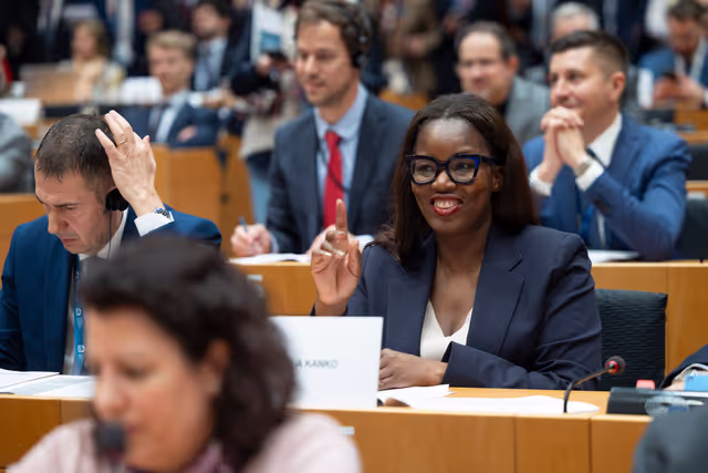 Fotagrafa 5: ECON ENVI LIBE - Voting session