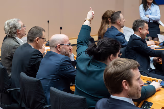 Fotagrafa 4: ECON ENVI LIBE - Voting session