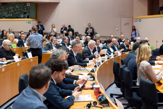 Fotagrafa 3: ECON ENVI LIBE - Voting session