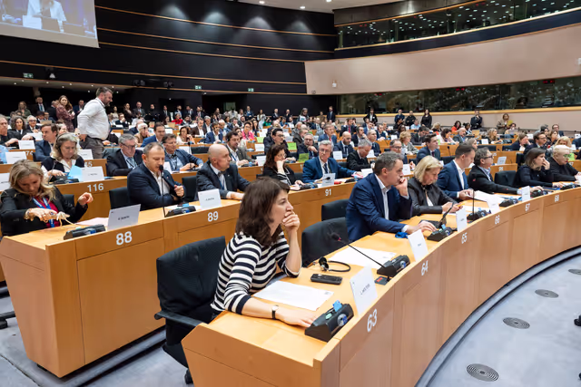 Fotagrafa 2: ECON ENVI LIBE - Voting session