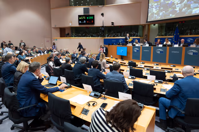 Fotagrafa 1: ECON ENVI LIBE - Voting session