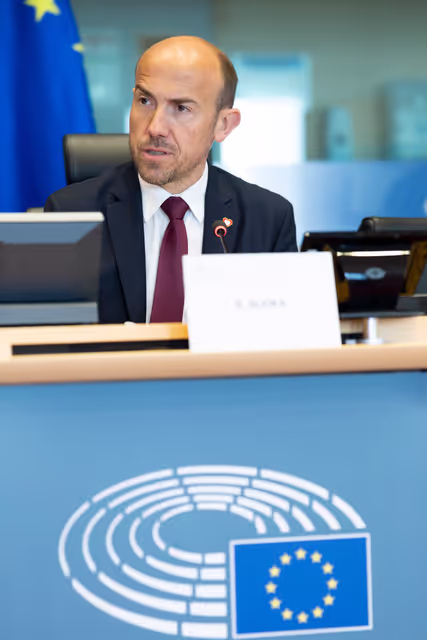 Foto 17: ITRE - Public hearing : Horizon Europe 2028-2034: Expert views and consideration