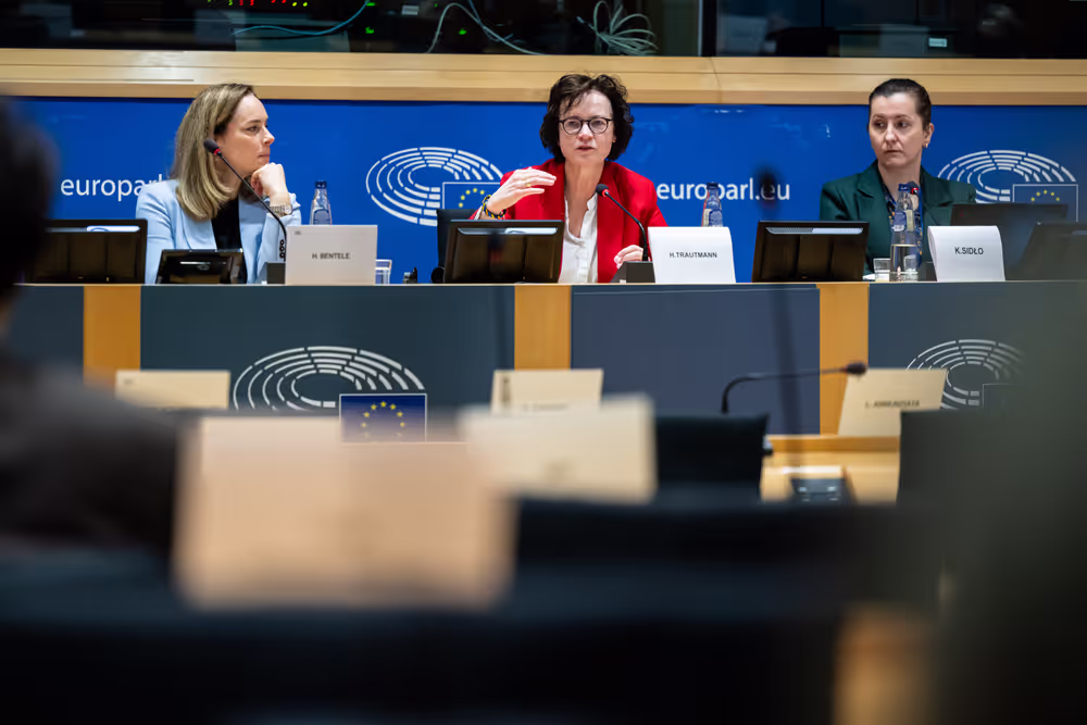 Delegation for relations with Israel meeting - Exchange of views on the implementation of the Peace Plan