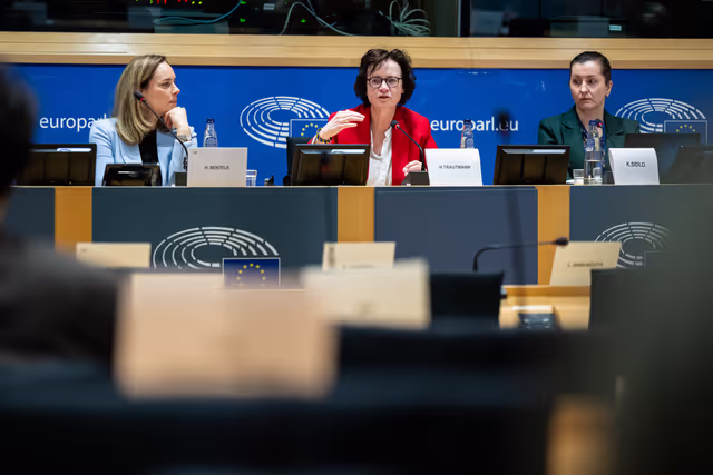 Foto 17: Delegation for relations with Israel meeting - Exchange of views on the implementation of the Peace Plan