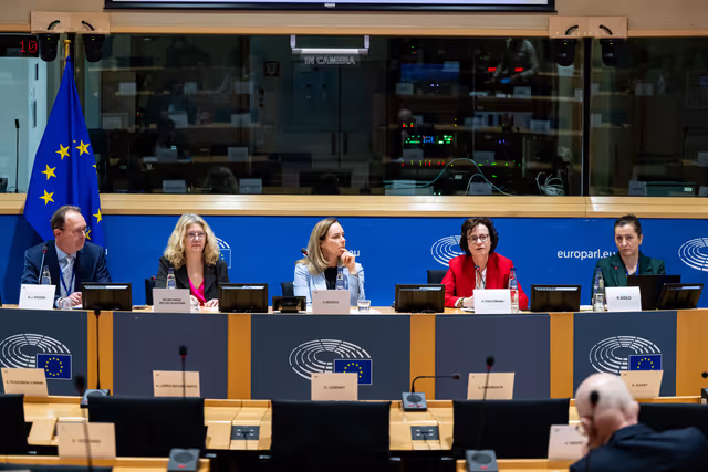 Delegation for relations with Israel meeting - Exchange of views on the implementation of the Peace Plan