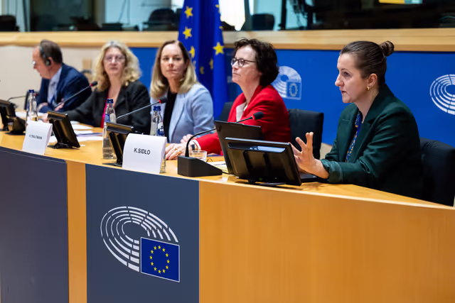 Delegation for relations with Israel meeting - Exchange of views on the implementation of the Peace Plan