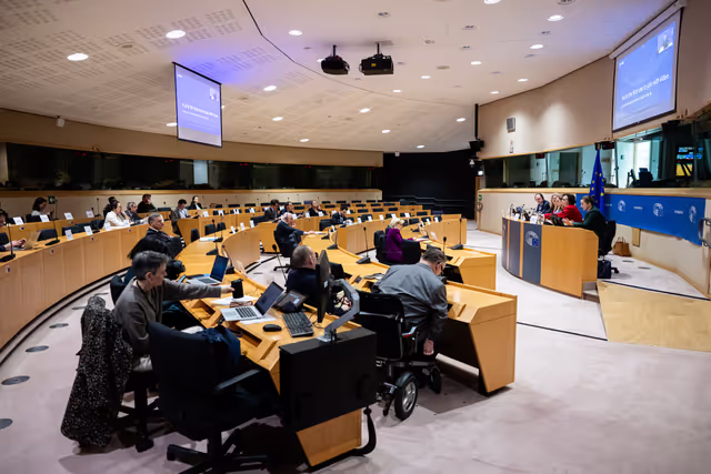 Delegation for relations with Israel meeting - Exchange of views on the implementation of the Peace Plan