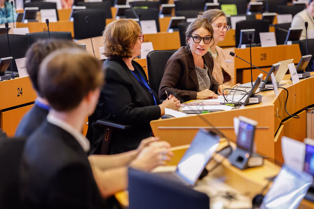 LIBE - Public Hearing on a European Citizens' Initiative (ECI) 'Ban on conversion practices in the European Union