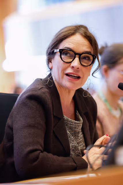 Fotografie 15: LIBE - Public Hearing on a European Citizens' Initiative (ECI) 'Ban on conversion practices in the European Union