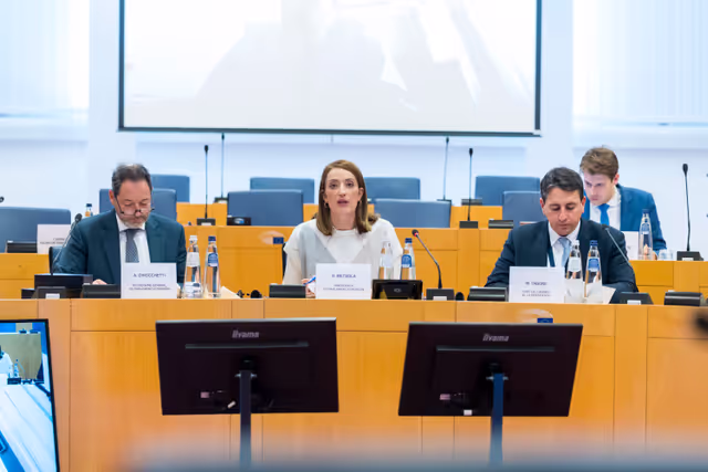 Φωτογραφία 2: Order of Merit Selection Committee