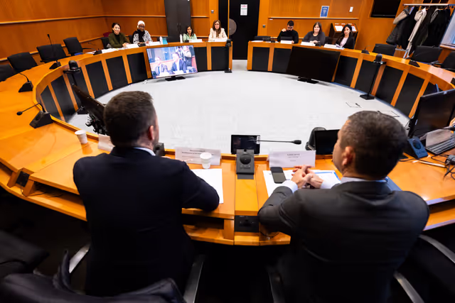 Photo 4: EUVP - Gender Equality & Equal Opportunities Thematic Week - Meeting with Nicolae STEFANUTA