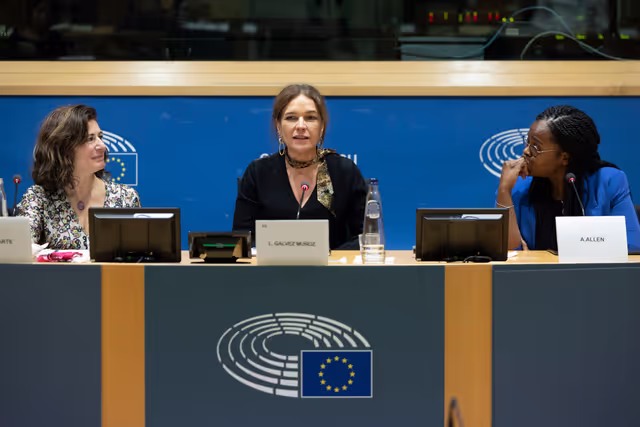 Foto 10: Press Seminar – International Women's Day: Digital violence against women