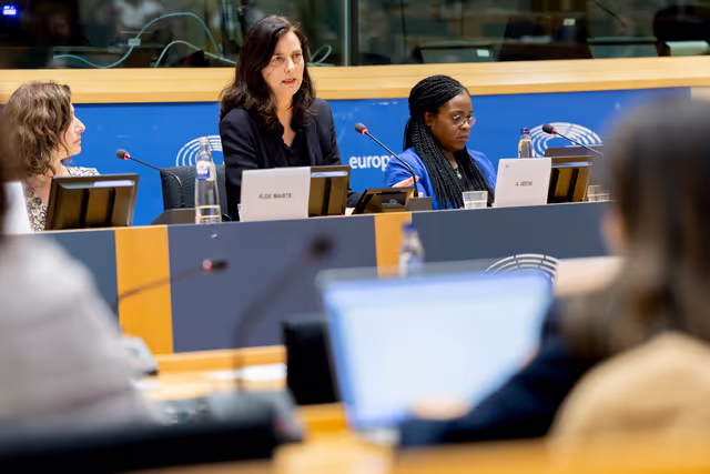 Foto 34: Press Seminar – International Women's Day: Digital violence against women