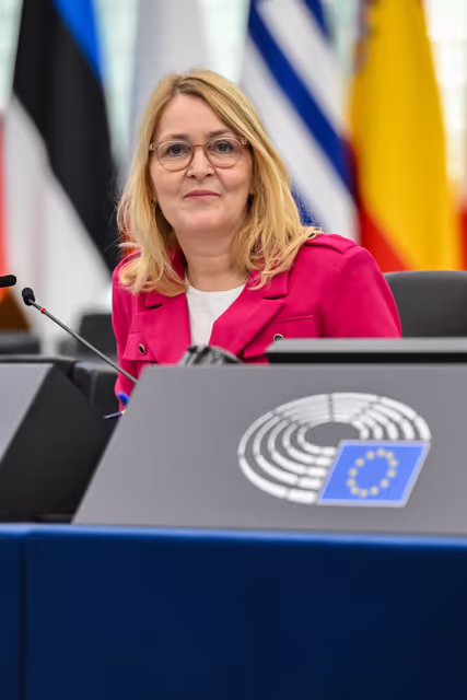 Fotografie 26: EP Plenary Session - Single Market: how to move from an incomplete single market to one market for one Europe