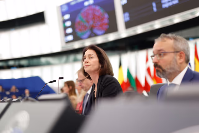 EP Plenary Session - Voting session