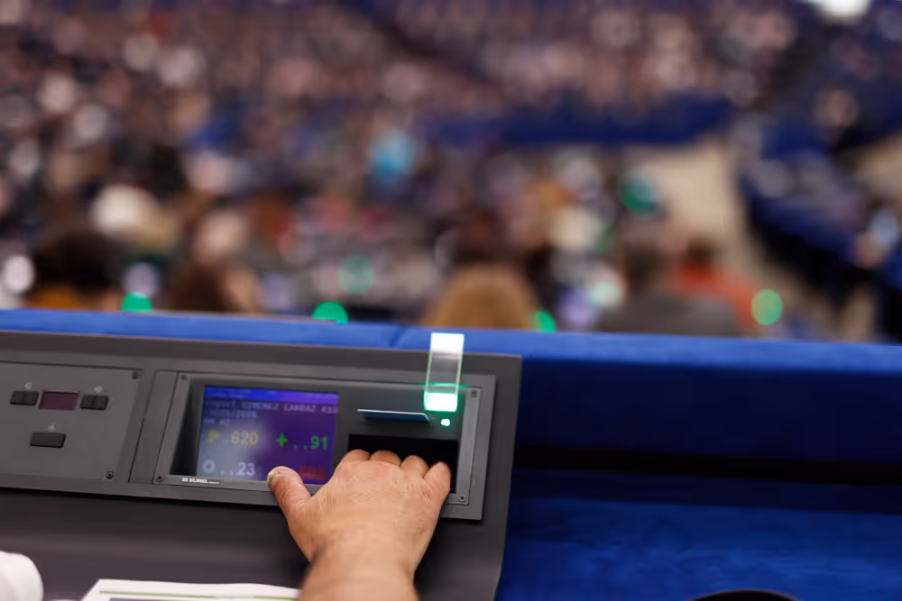 EP Plenary Session - Voting session