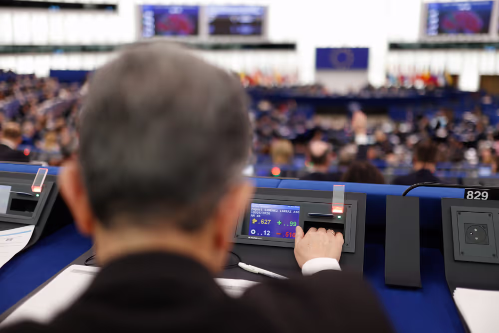 EP Plenary Session - Voting session