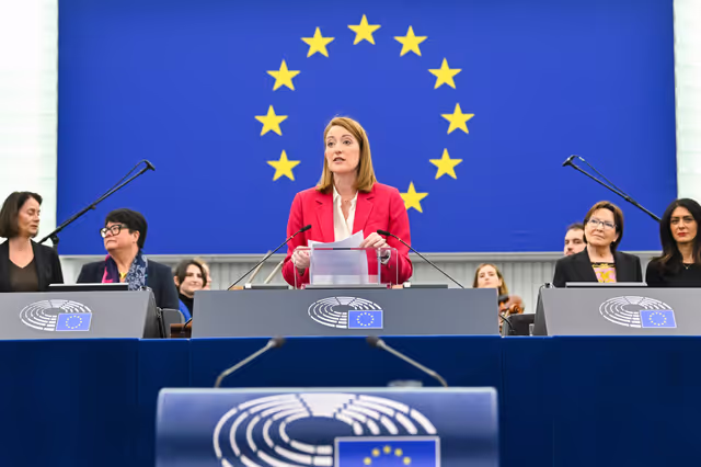 Foto 29: EP Plenary Session - European Parliament Annual Session - Order of merit announcement