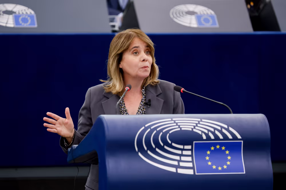 EP Plenary Session - Presentation of the Energy Package