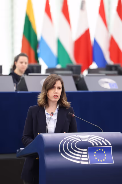 EP Plenary Session - Cutting red tape to enable a competitive and clean transition – the urgent need to shorten and simplify permitting